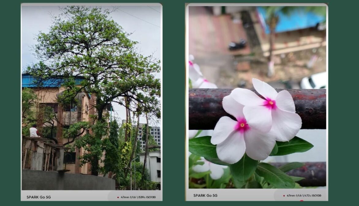 Tecno Spark GO Photo