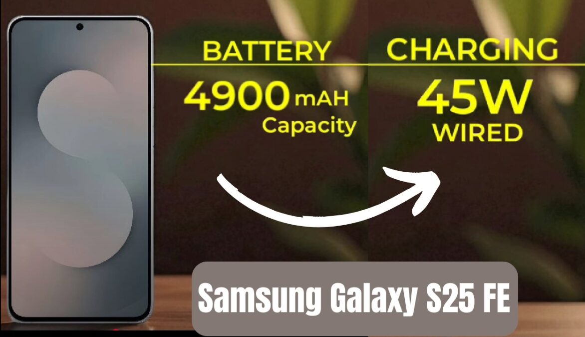 Samsung Galaxy S25 FE Battery And Charger 