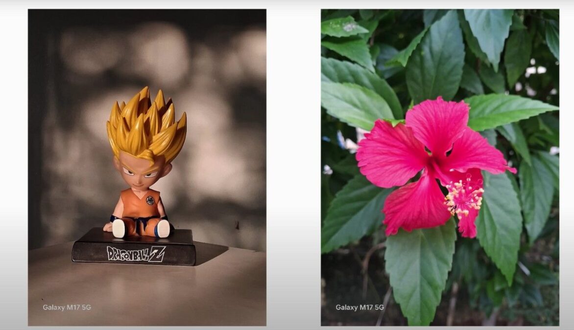 Samsung Galaxy M17 Photography Test 